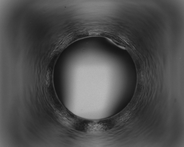 X0000052650311200507160230