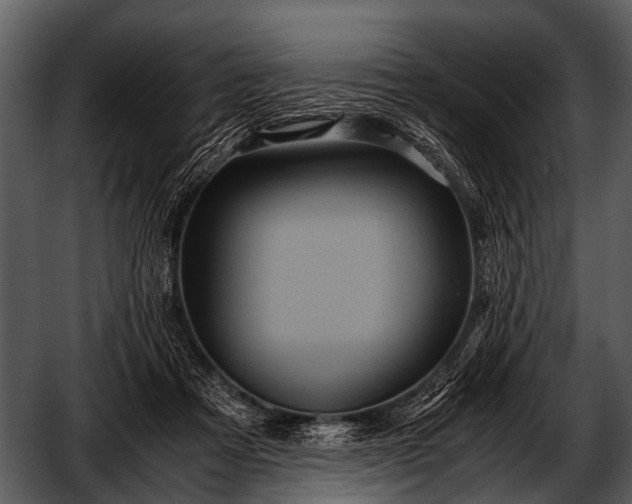 X0000052650313200507160230