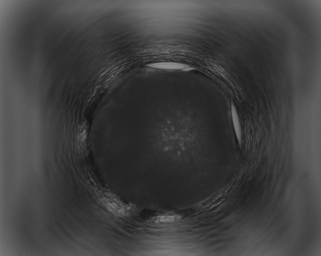 X0000052650314200507160230