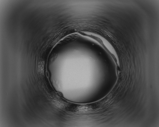 X0000052650315200507160230