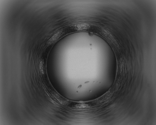 X0000052650316200507160230