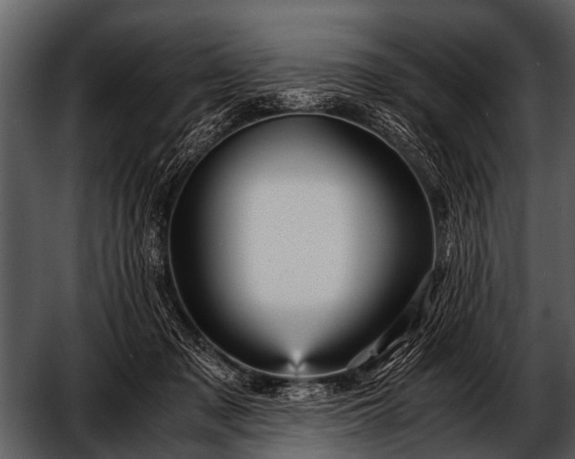 X0000052650317200507160230