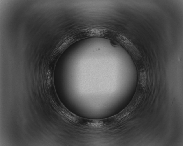 X0000052650318200507160230