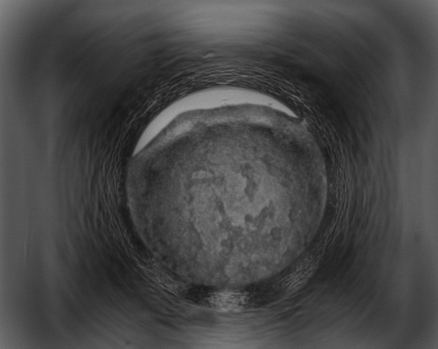 X0000052650319200507160230