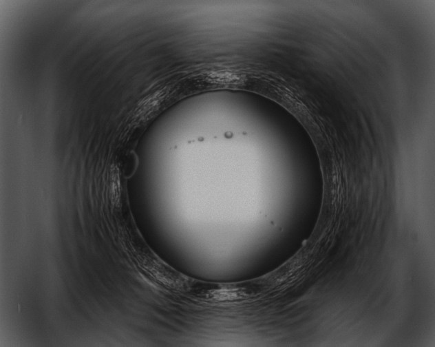 X0000052650320200507160230