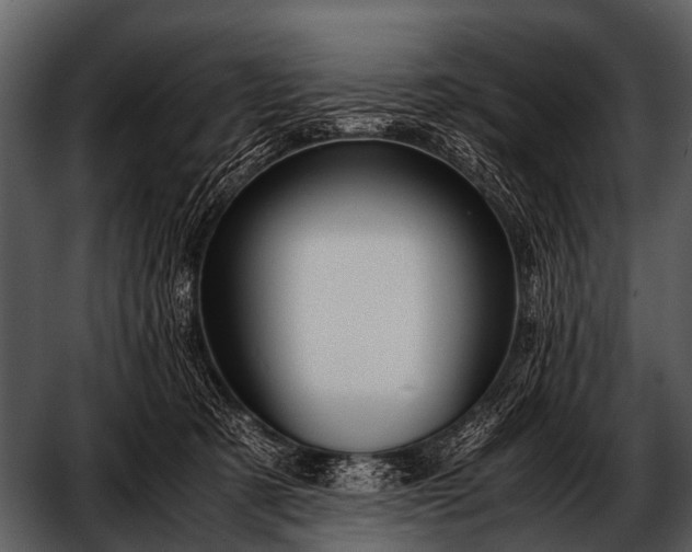 X0000052650321200507160230