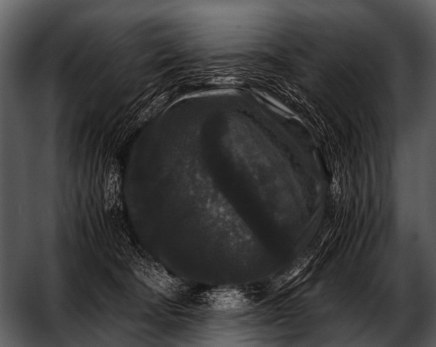 X0000052650322200507160230