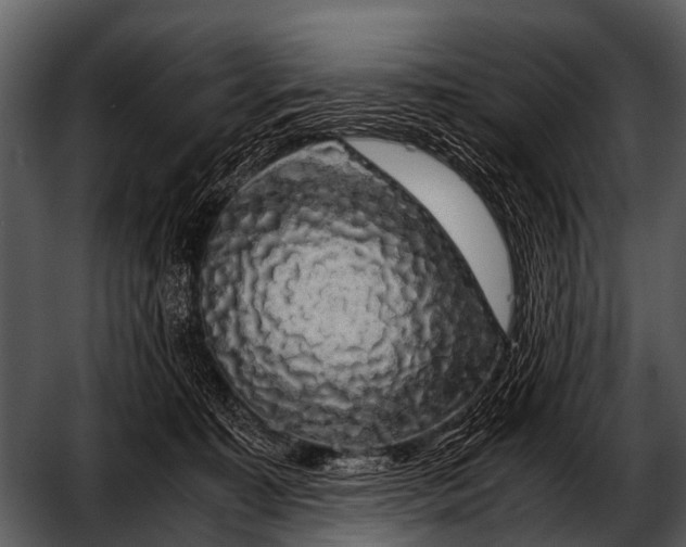 X0000052650323200507160230