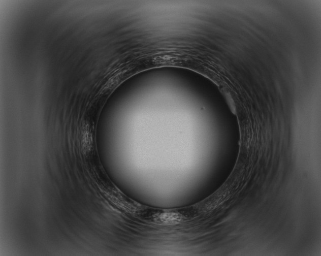 X0000052650324200507160230