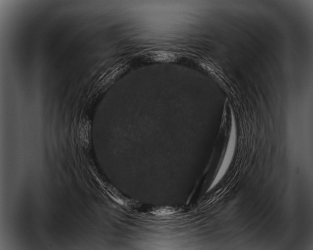 X0000052650325200507160230