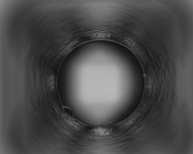 X0000052650326200507160230