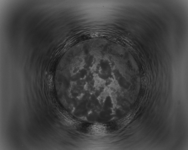 X0000052650327200507160230