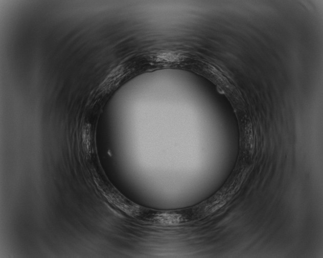 X0000052650328200507160230