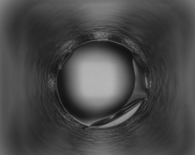 X0000052650329200507160230