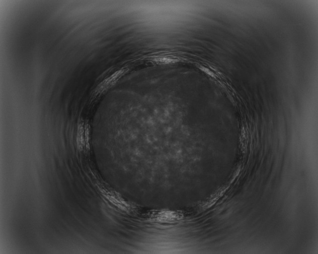 X0000052650330200507160230