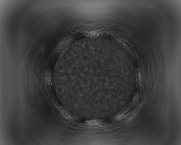 X0000052650331200507160230