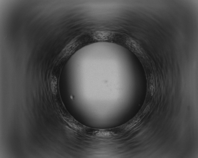 X0000052650332200507160230