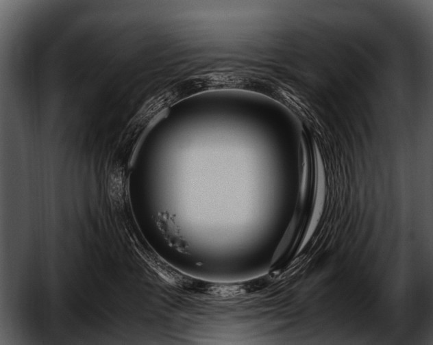 X0000052650333200507160230