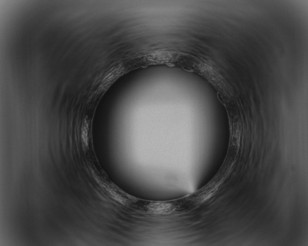 X0000052650334200507160230