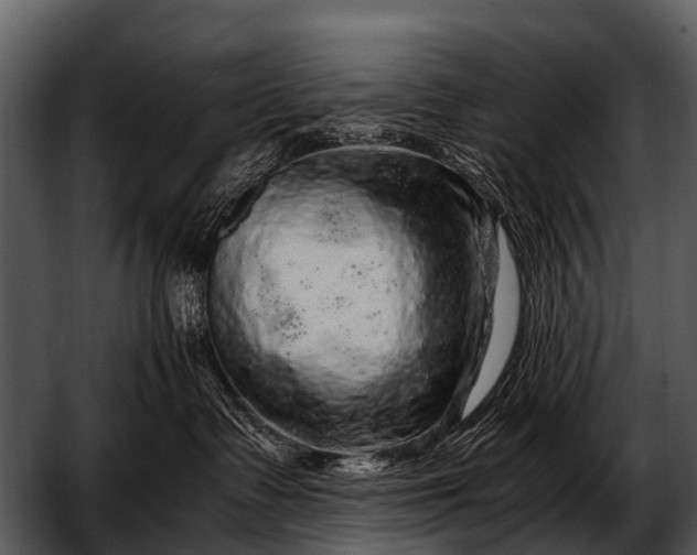 X0000052650335200507160230