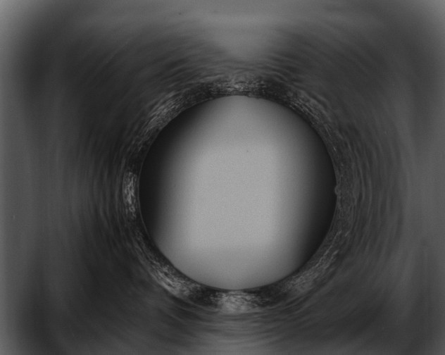 X0000052650336200507160230