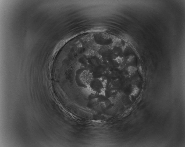 X0000052650337200507160229