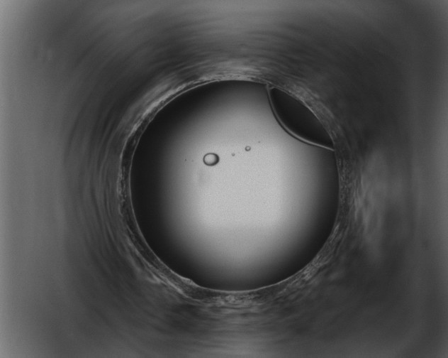 X0000052650338200507160229