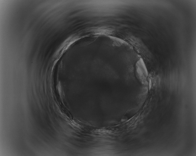 X0000052650339200507160229