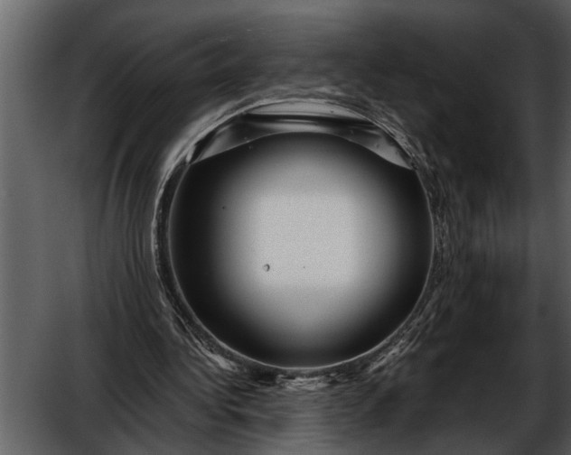 X0000052650340200507160229