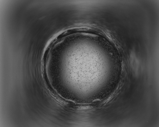 X0000052650342200507160229