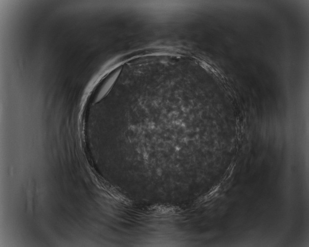 X0000052650343200507160229