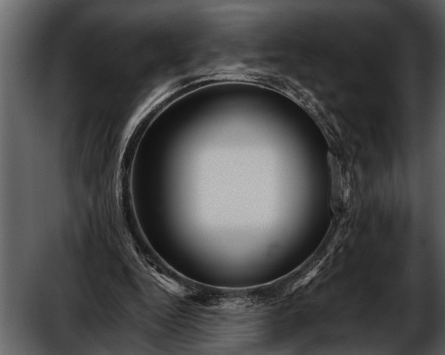 X0000052650344200507160229