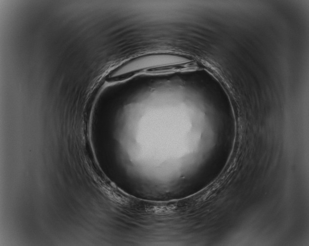 X0000052650345200507160229