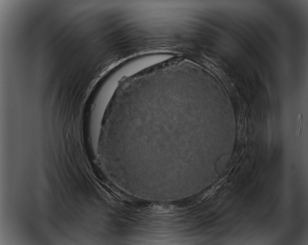 X0000052650346200507160229