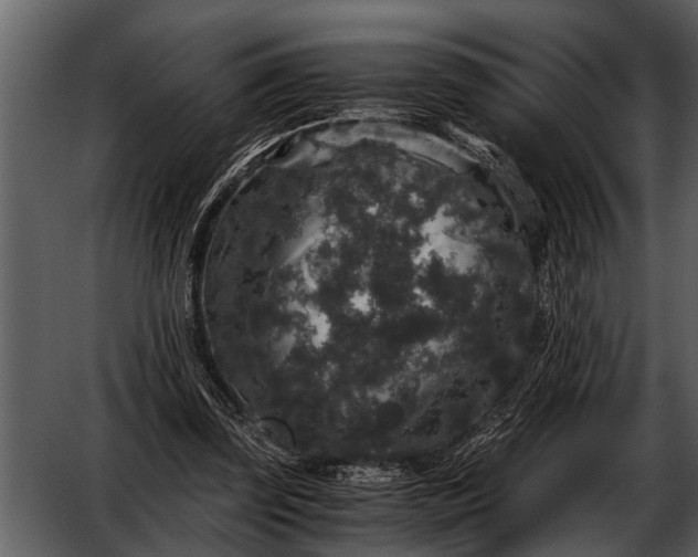 X0000052650347200507160229