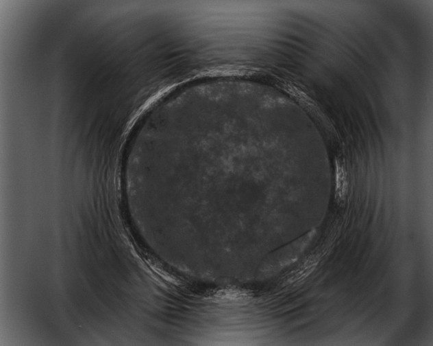 X0000052650348200507160229