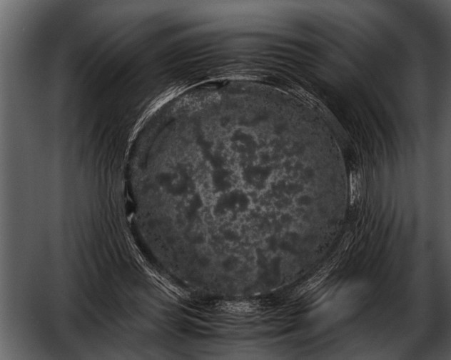 X0000052650349200507160229