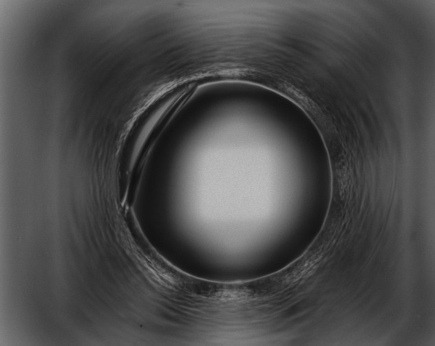 X0000052650350200507160229