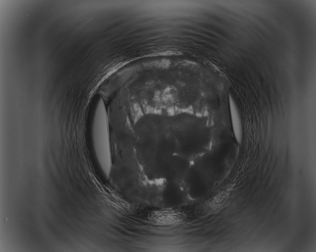 X0000052650351200507160229