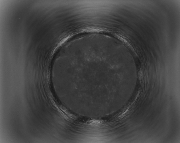 X0000052650352200507160229