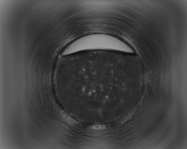 X0000052650353200507160229