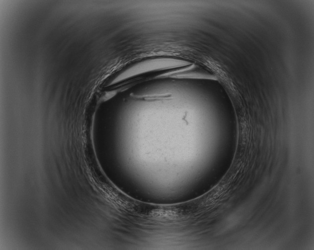 X0000052650354200507160229