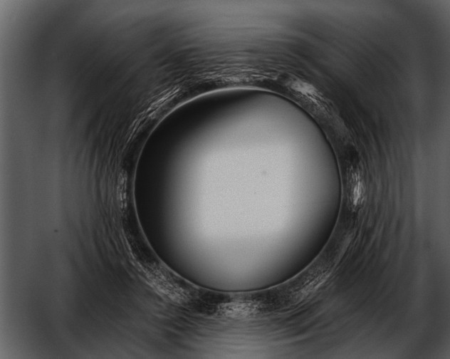 X0000052650356200507160229