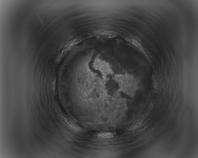 X0000052650357200507160229