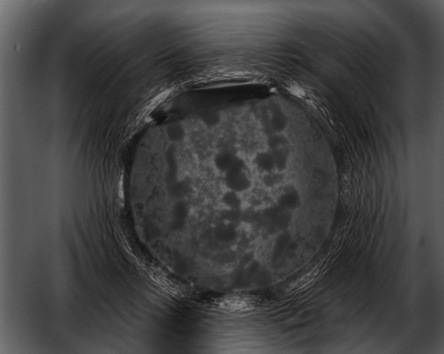 X0000052650358200507160229