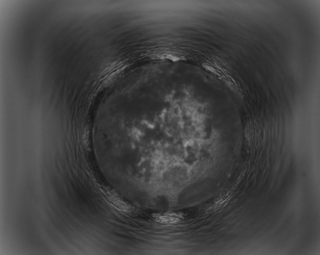 X0000052650359200507160229