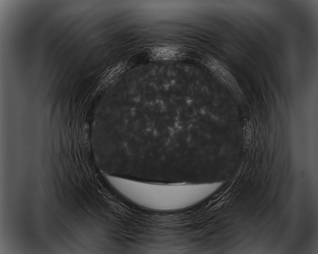 X0000052650361200507160229