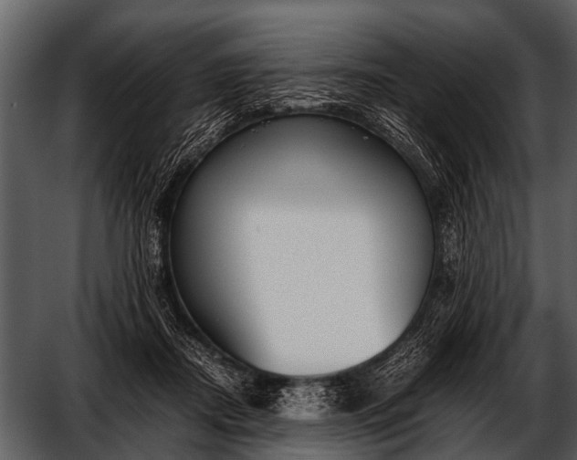 X0000052650362200507160229