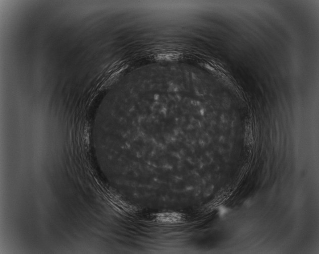 X0000052650363200507160229