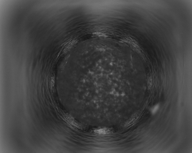 X0000052650365200507160229